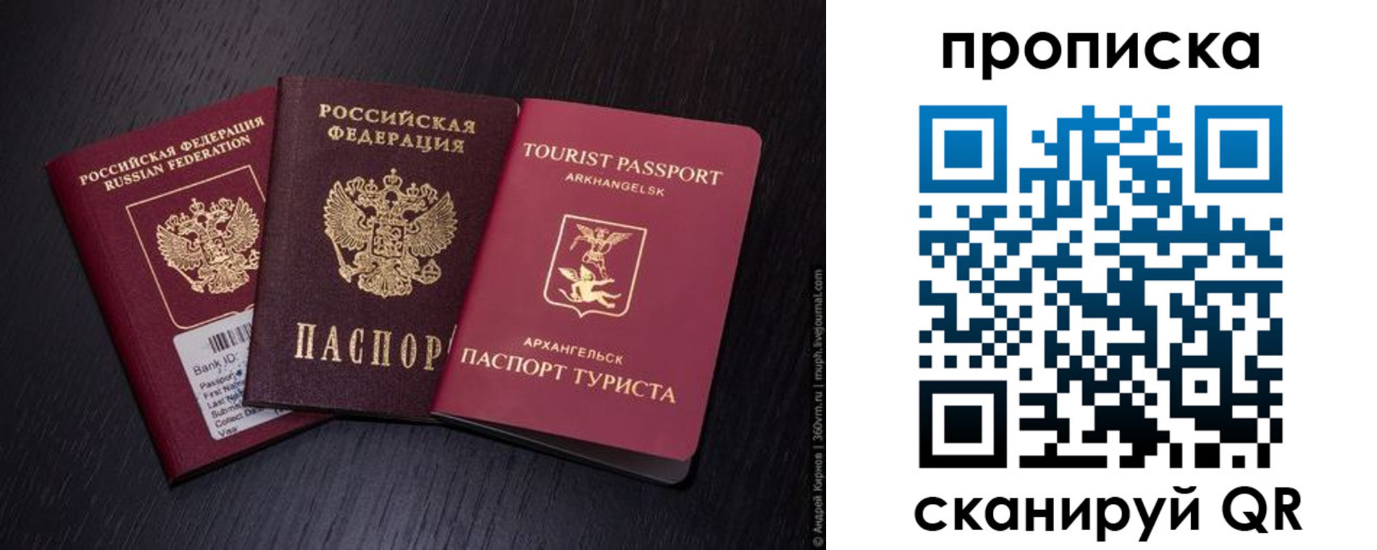временная регистрация надежно в Липецке